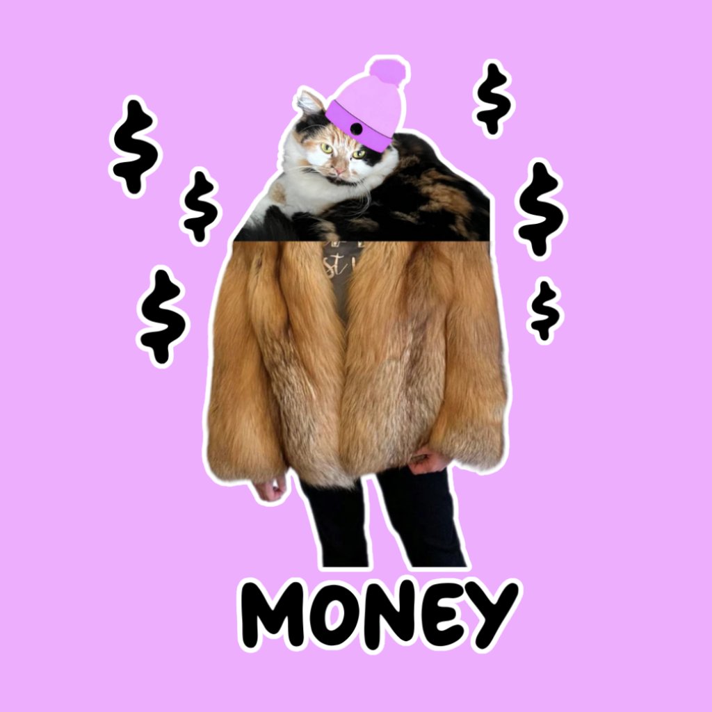 MixxaWifHat2's tweet photo. Join Mixxa, the adorable face of $MIXXA, 
and be part of the change! 🐾 
Help us build a sanctuary for strays. 
#MIXXA #StraySanctuary #CryptoCommunity #MEMECOİNS #MemeTokens #Solanaseason24 #sol #MEMECOİNS #CryptoGems #solana #gems https://t.co/ars5X7Do3N