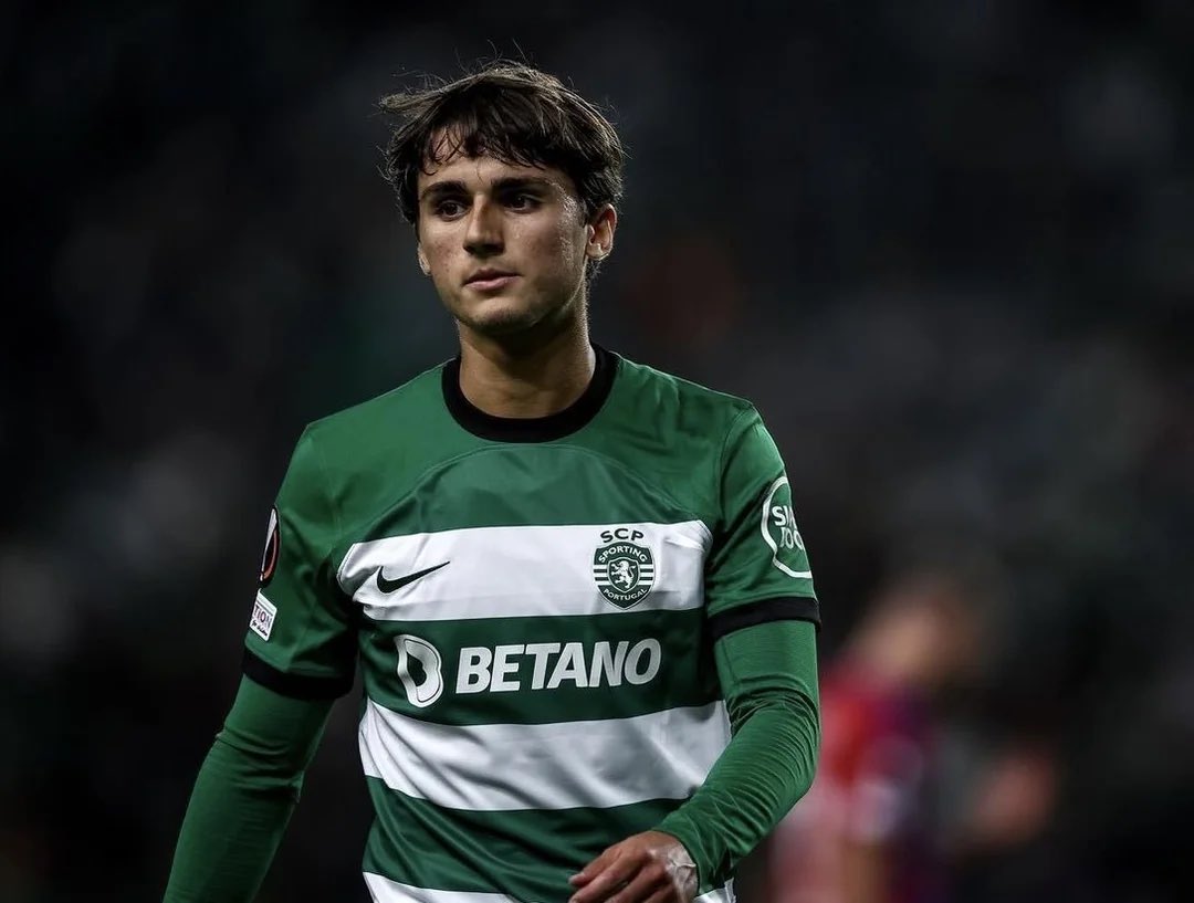 SchalkeZone tweet media