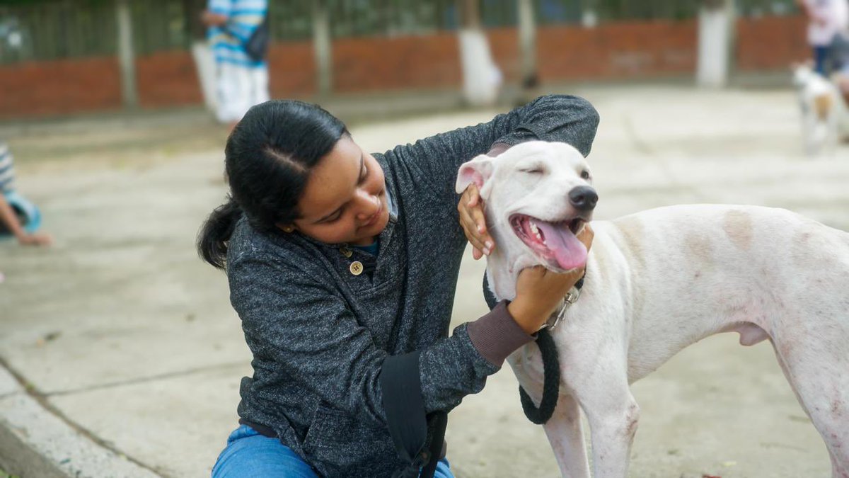 CarlosPinedoC's tweet photo. Queremos hacer de Santa Marta una ciudad que entienda la importancia del bienestar y la protección animal. Por eso, nos propusimos la meta de hacer 8 mil esterilizaciones por año, es decir, estamos haciendo 2 mil esterilizaciones al mes cuando antes solo se realizaban 2 mil por año.

El Centro de Bienestar Animal está operando en adopción, rescates de animales en condición de calle, esterilizaciones y educación en concientización. Santa Marta debe convertirse en una ciudad protectora de nuestros animales. El abandono animal y la sobrepoblación en la que recibimos la ciudad se reducen esterilizando y educando.

Esta semana, a partir de las 6:00 a.m., siguen las jornadas de esterilización: 
- Villa Betel (17 de junio)
- Altos de Bahía Concha (19 de junio)
- Parque de Gaira (20 de junio)
- Parque Bonda (21 de junio)

En las redes de la @SantaMartaDTCH o @secretariagob encuentran todas las semanas los cronogramas de esterilización. ¡AVANZAMOS!