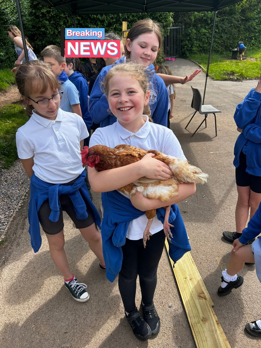 We enjoyed meeting our new chickens today  @coedlgas