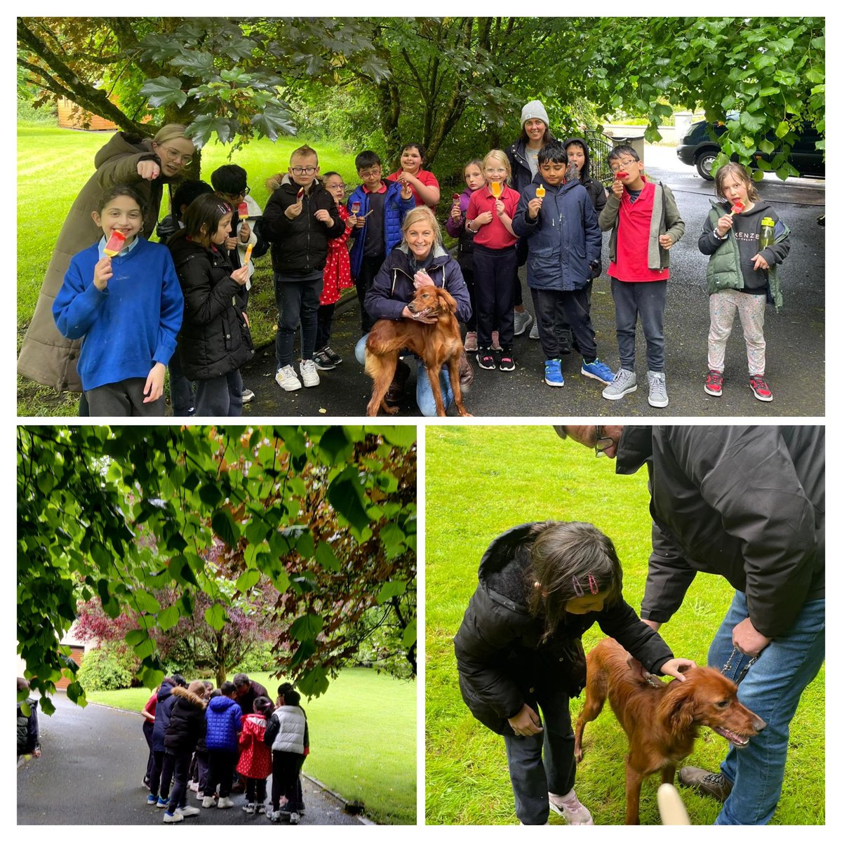 1st Class St. Attracta's NS (@1stclsattracta) on Twitter photo First class had a fun filled day at <a href="/GlampRoscommon/">Willowbrook Glamping & Hideaways</a> on our school tour. Lots of crafts, nature walks, pizza making, marshmallow toasting, games and more! A great day topped off with a pitstop to visit Ms Deeneys new dog and to eat some ice-cream 🐕🍦<a href="/SAttracta/">St. Attracta's N.S.</a> First class had a fun filled day at <a href="/GlampRoscommon/">Willowbrook Glamping & Hideaways</a> on our school tour. Lots of crafts, nature walks, pizza making, marshmallow toasting, games and more! A great day topped off with a pitstop to visit Ms Deeneys new dog and to eat some ice-cream 🐕🍦<a href="/SAttracta/">St. Attracta's N.S.</a>