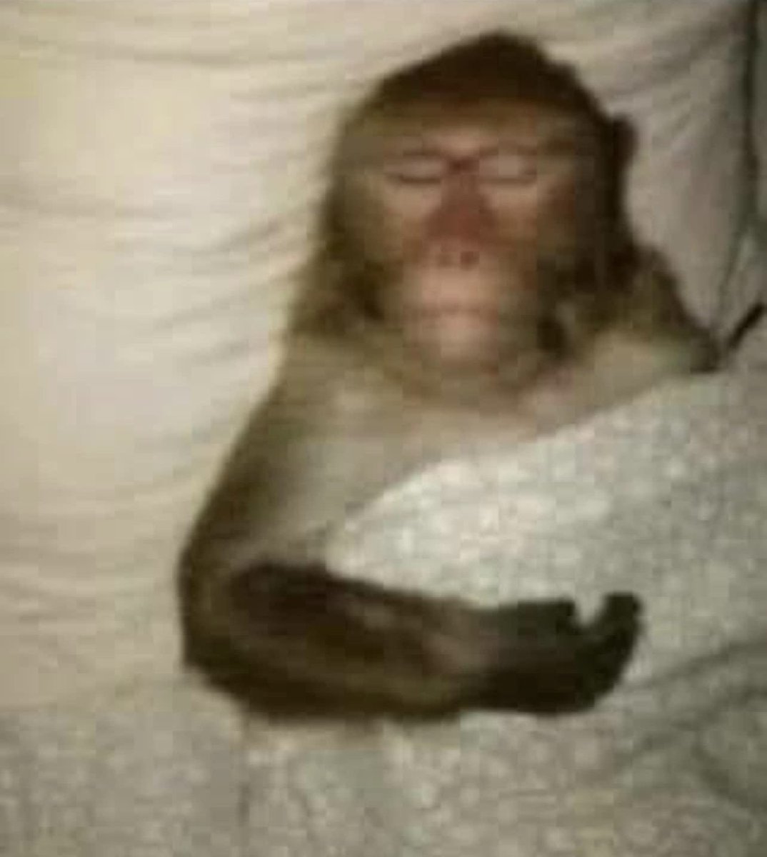 Whotfismick's tweet image. “i’m just resting my eyes” 

Me actually passing out 5 min later