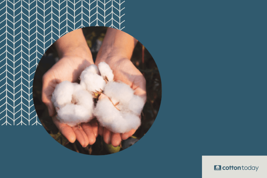 As we continue to reduce our single-use plastics and plastic-based items, consider #cotton instead. Unlike petroleum-based fibers like #polyester, cotton is biocompatible and readily biodegrades in many environments. To learn more, click here: cottontoday.cottoninc.com/our-sustainabi…
