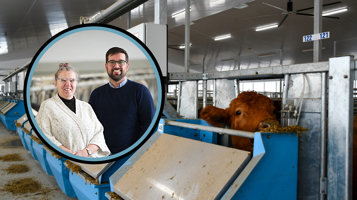 AgInnovationON's tweet photo. Where’s the beef data? Researchers can now access routinely recorded beef data from the Ontario Beef Research Centre in Elora through a centralized hub. Learn more: https://t.co/EeWLbP0HZm
@UofGResearch @lucasmabr @AgrifoodDataCan https://t.co/kzNCYlArEv