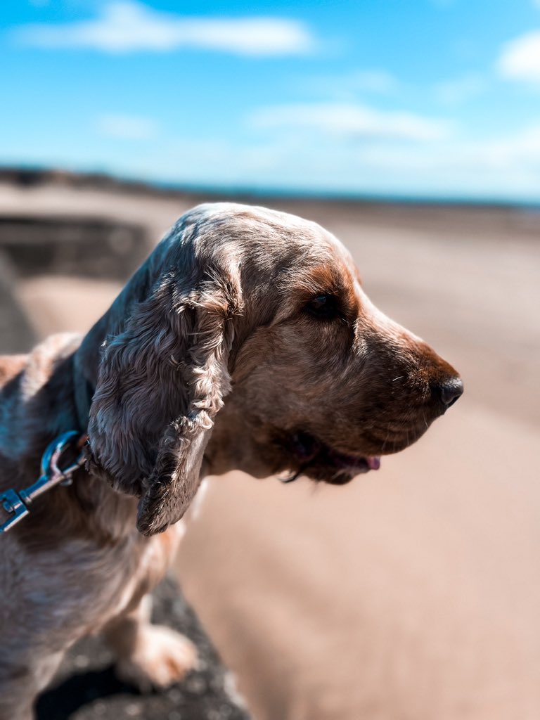 Finally a little taste of heat ! The sun is back 😭 hopefully it sticks around !