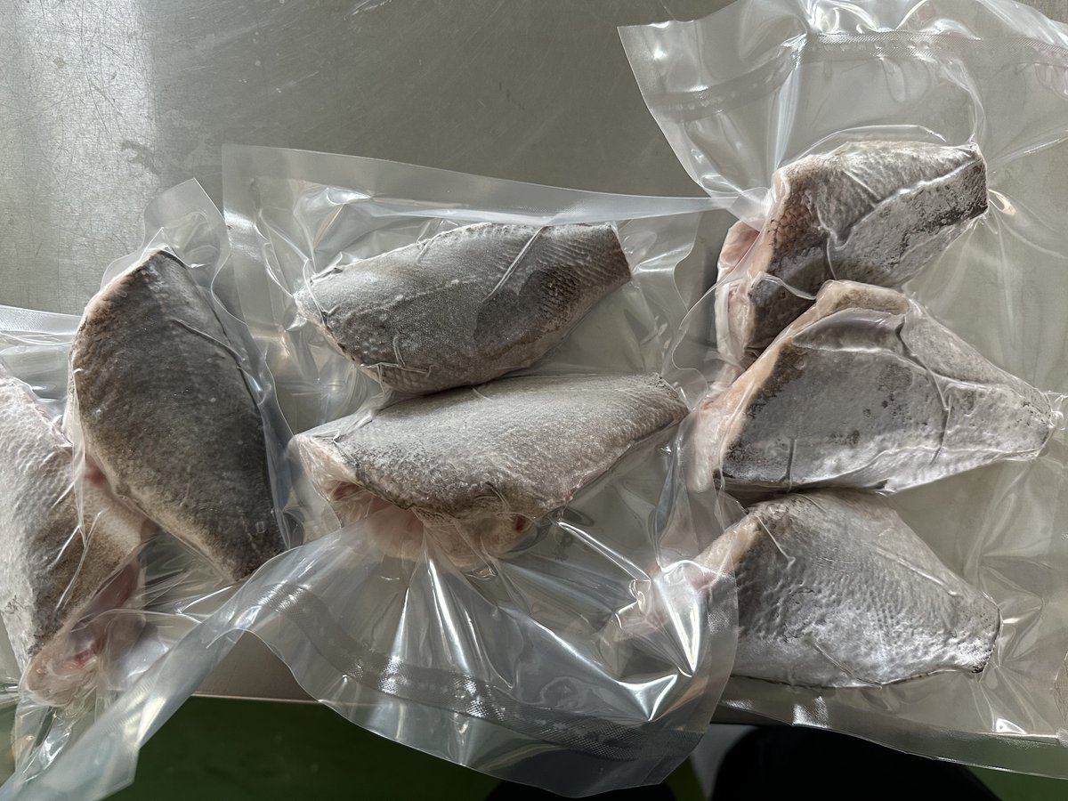 SatoshiKoeda's tweet photo. クロメバル➕なんか冷凍魚BP①
写真写りちょっとあれだけど笑
中骨以外とり瞬間冷凍すますた🐟
おひとり様にforYou🐟
RP&フォローで参加ok🐟
締め切り日時6月20日(木)23時頃まで

刺身にもできるけど食べる部分が少なくなってしまうんだよね〜

さとしこ

#青森 #プレゼント #懸賞 #魚ぶっぱなしおじさん #漁師