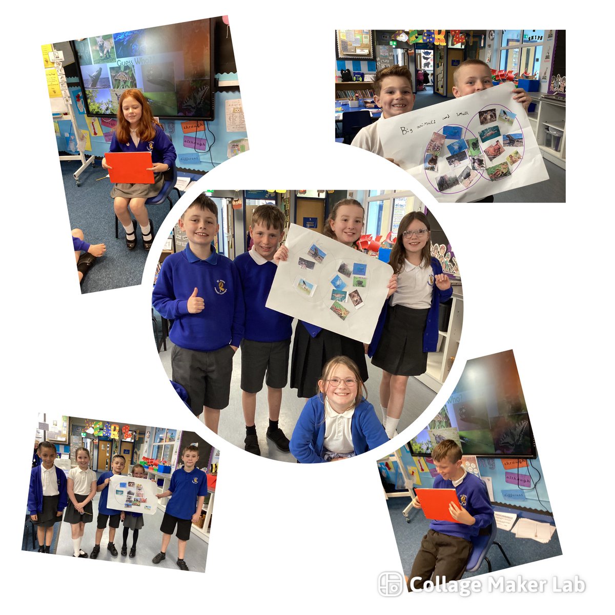 StJohns_Eagle's tweet image. 4AF loved playing the classification game today in Science. #miniscientists 🐝