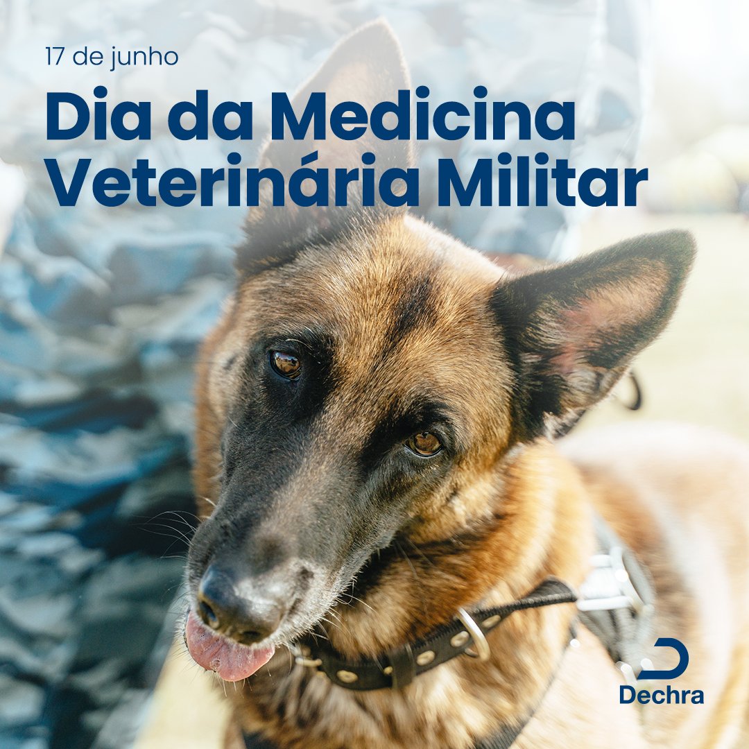 dechrabrasil's tweet photo. Hoje celebramos os veterinários militares que cuidam dos nossos animais nas Forças Armadas. A Dechra Brasil orgulha-se de apoiar esses heróis! 💪💙

#MedicinaVeterináriaMilitar #DechraBrasil #ForçasArmadas #CuidadoAnimal https://t.co/twmH3G1IbI