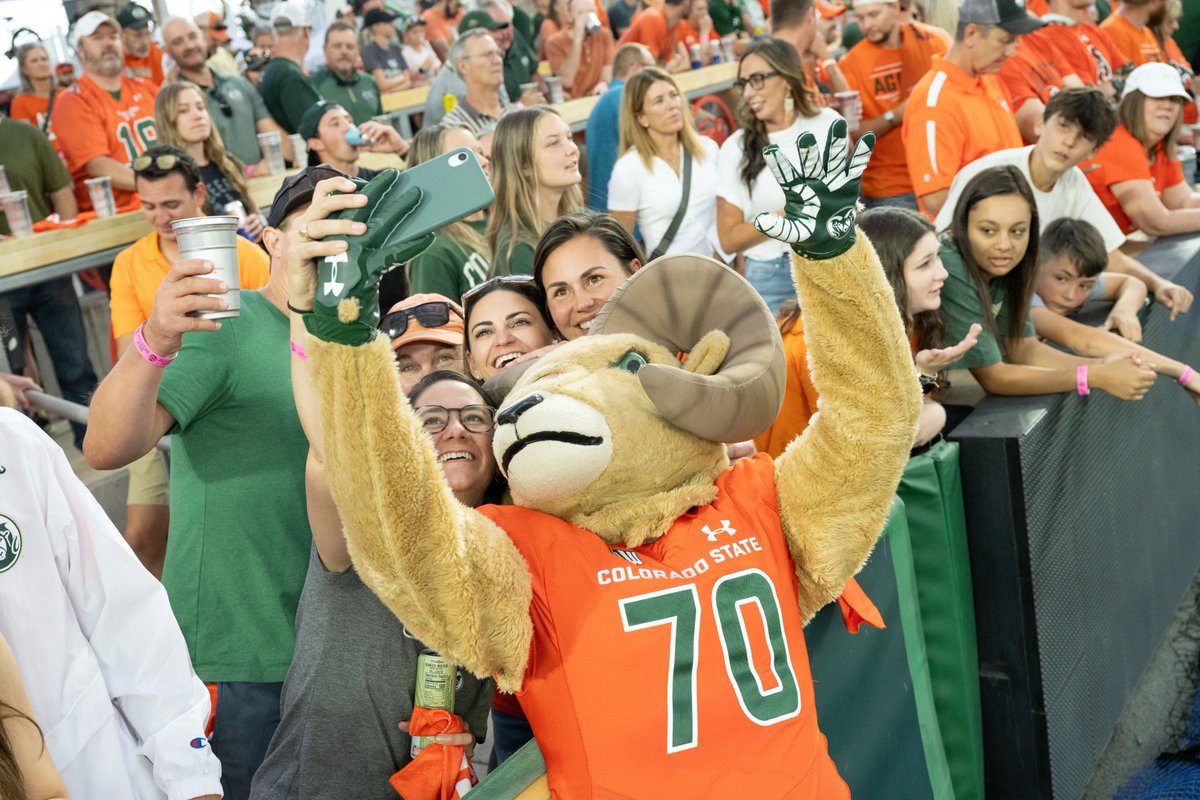 CSUSystem's tweet image. A special #NationalMascotDay shoutout to these three for wonderfully embodying the passion and spirit of each #CSUSystem campus 🙌