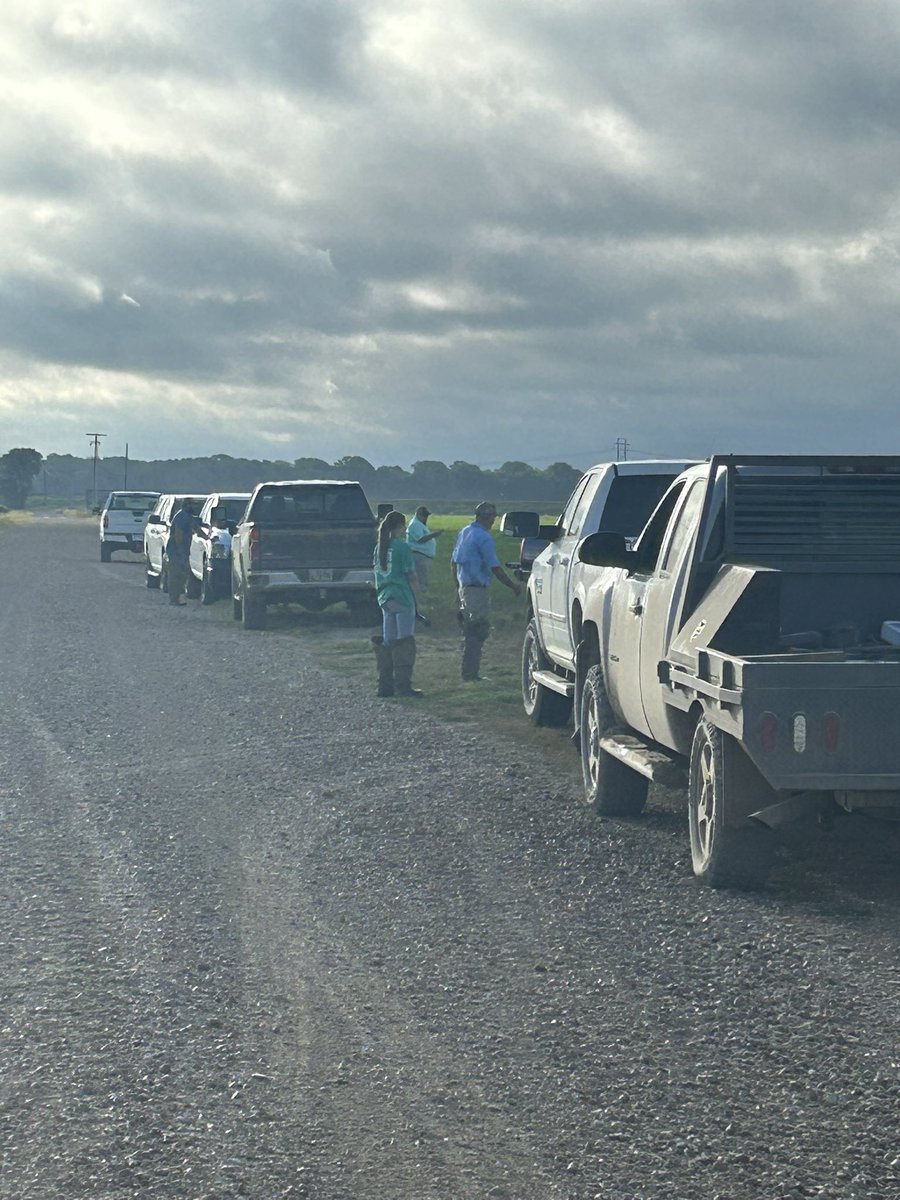 We dialed up some great weather for tailgate tour number 2. <a href="/JHardke/">Jarrod Hardke</a> and <a href="/TheMikeHamilton/">Mike Hamilton</a> discussed with farmers the ins and outs of rice irrigation and what to expect regarding row rice vs. flooded rice production. Thankful for another great crowd. Stay tuned for stop 3.