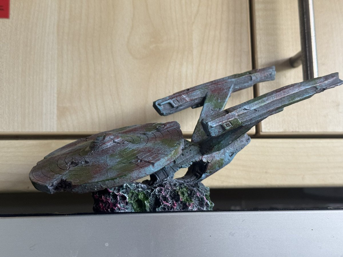 jasonimpey's tweet image. Rambo the Pacman frog has a new ornament in his enclosure, let’s hope he don’t travel at warp speed! #startrek #starshipenterprise #pacmanfrog