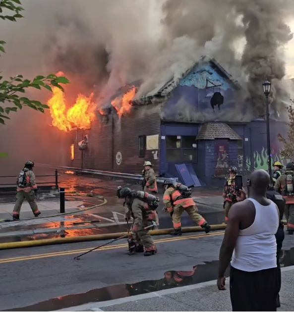 grumpy toad tweet media