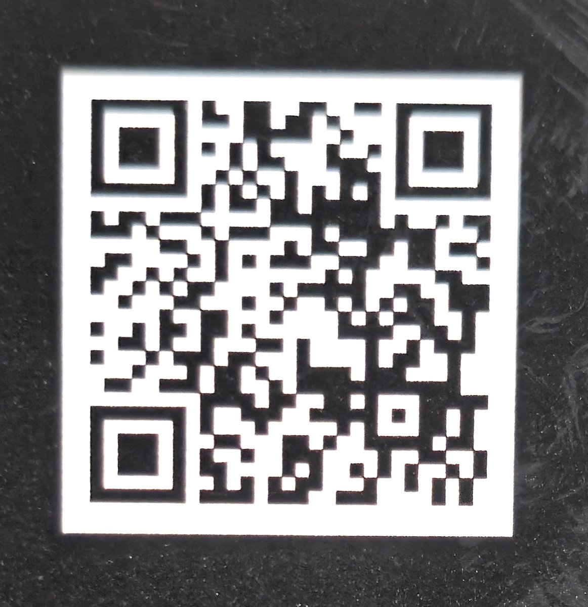 The Hampden Collection tweet media