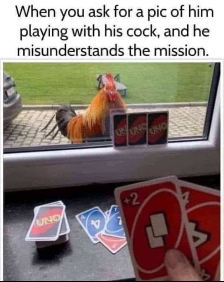 ✨Ms_Ashhole ✨ (@msashbash420) on Twitter photo 