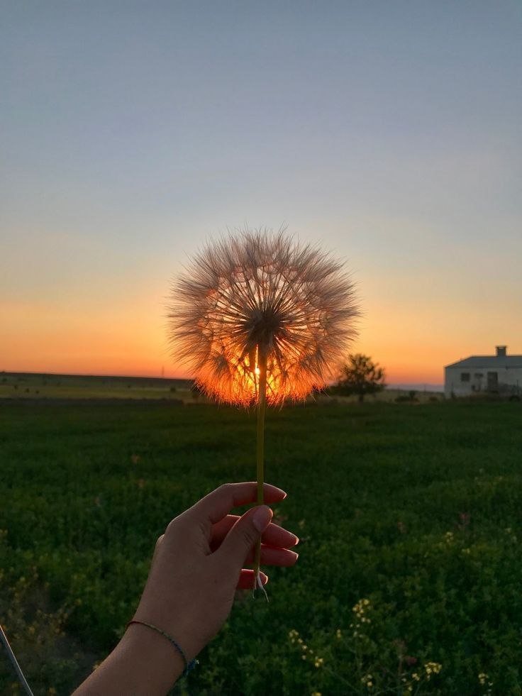 به قول نادر ابراهیمی که میگه：
امید را برای روزهای بد ساخته‌اند
و چراغ را برای تاریکی . . .🌙🫀
#ﷲ
#احمد_الحسن
#فالوبک_فوری