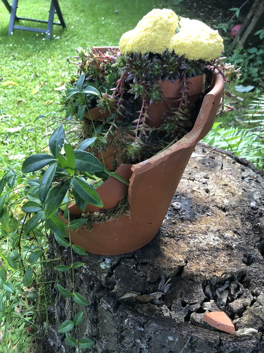 lamine_1963's tweet photo. Als ich heute morgen in den Garten kam, hatte ich dieses Kuriosum in einer Pflanze😳Es ist wohl ein Pilz“ Gelbe Lohblüte“ auch Mondschiss genannt. Was die Natur so macht �� https://t.co/bgQUZ7E0P5