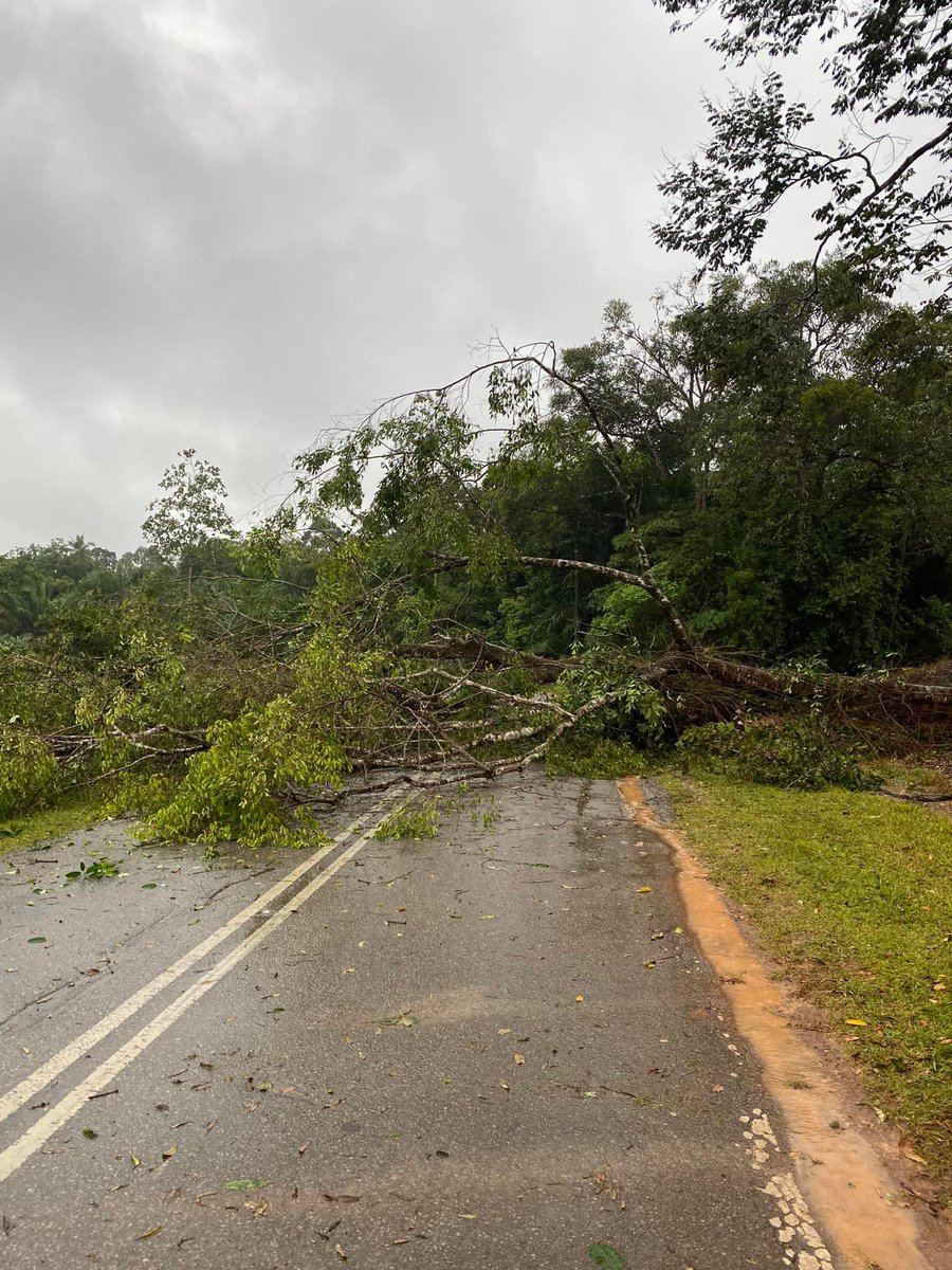 JKRMaran tweet media