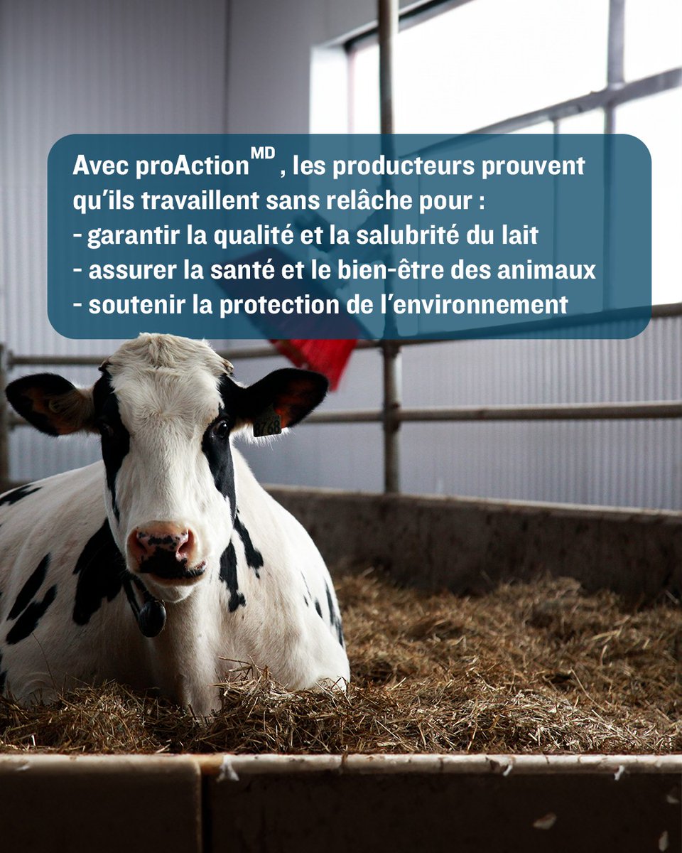 dfc_plc's tweet image. Si vous voulez en savoir plus sur comment le lait est produit, consultez proAction (MD). Il s'agit d'un programme national rigoureux d'assurance qualité. 

ow.ly/3EZJ50Sk6Lc

#LaitCan #Logodelavachebleue #produitslaitiers
