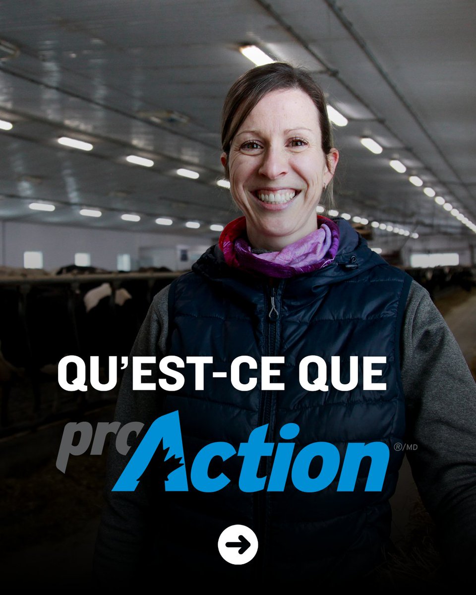 dfc_plc's tweet image. Si vous voulez en savoir plus sur comment le lait est produit, consultez proAction (MD). Il s'agit d'un programme national rigoureux d'assurance qualité. 

ow.ly/3EZJ50Sk6Lc

#LaitCan #Logodelavachebleue #produitslaitiers