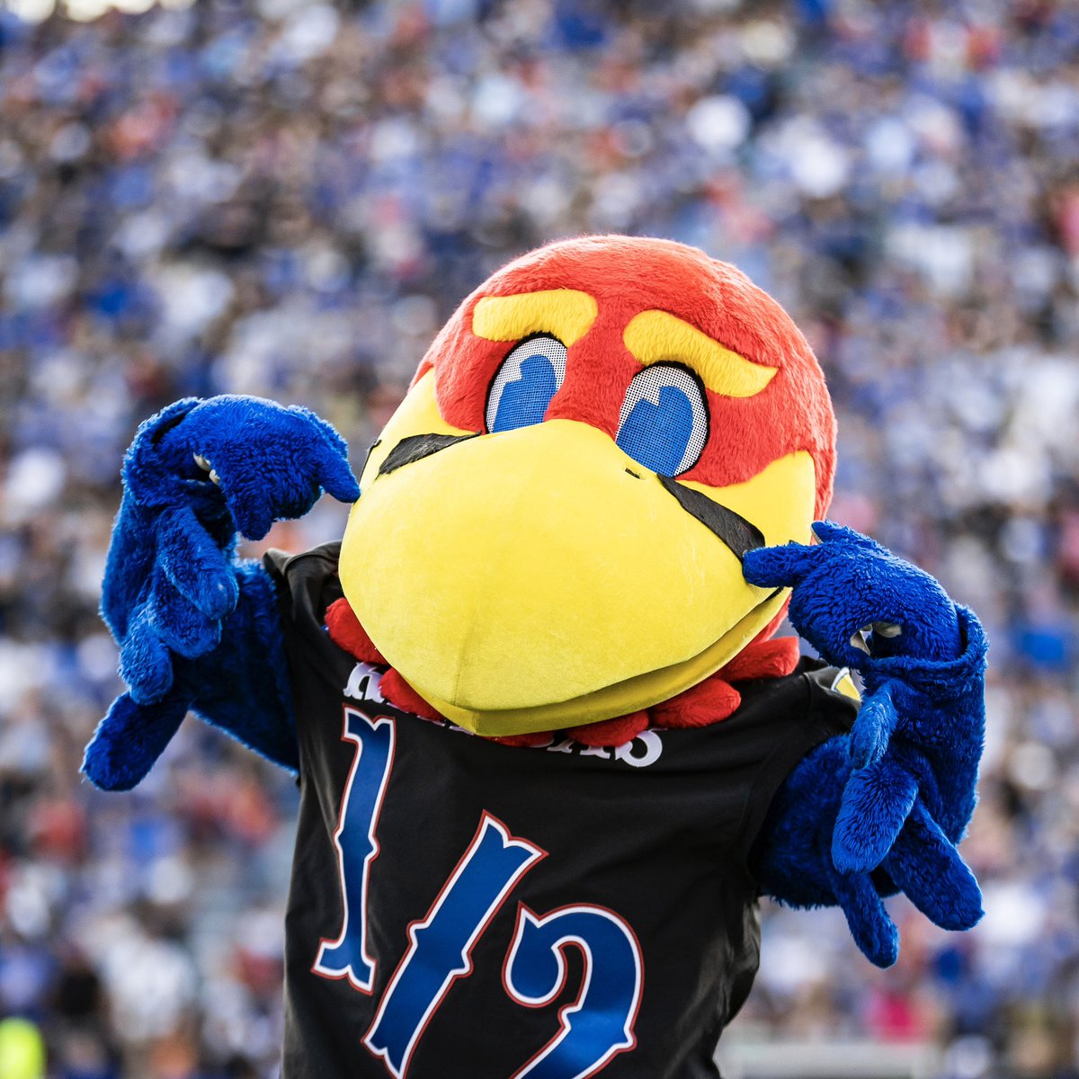 Shoutout to the 🐐s on #NationalMascotDay