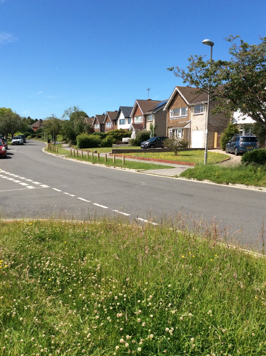 ManorParkFirst's tweet photo. Today Penguin Class have been on their local area walk. We explored the area around our school, looking at houses, shops and local features.
Back at school, we shared our ideas about what we saw in our floor book and looked carefully at the photos we took.
#manorparksuperstars https://t.co/HvmnIC3NeE