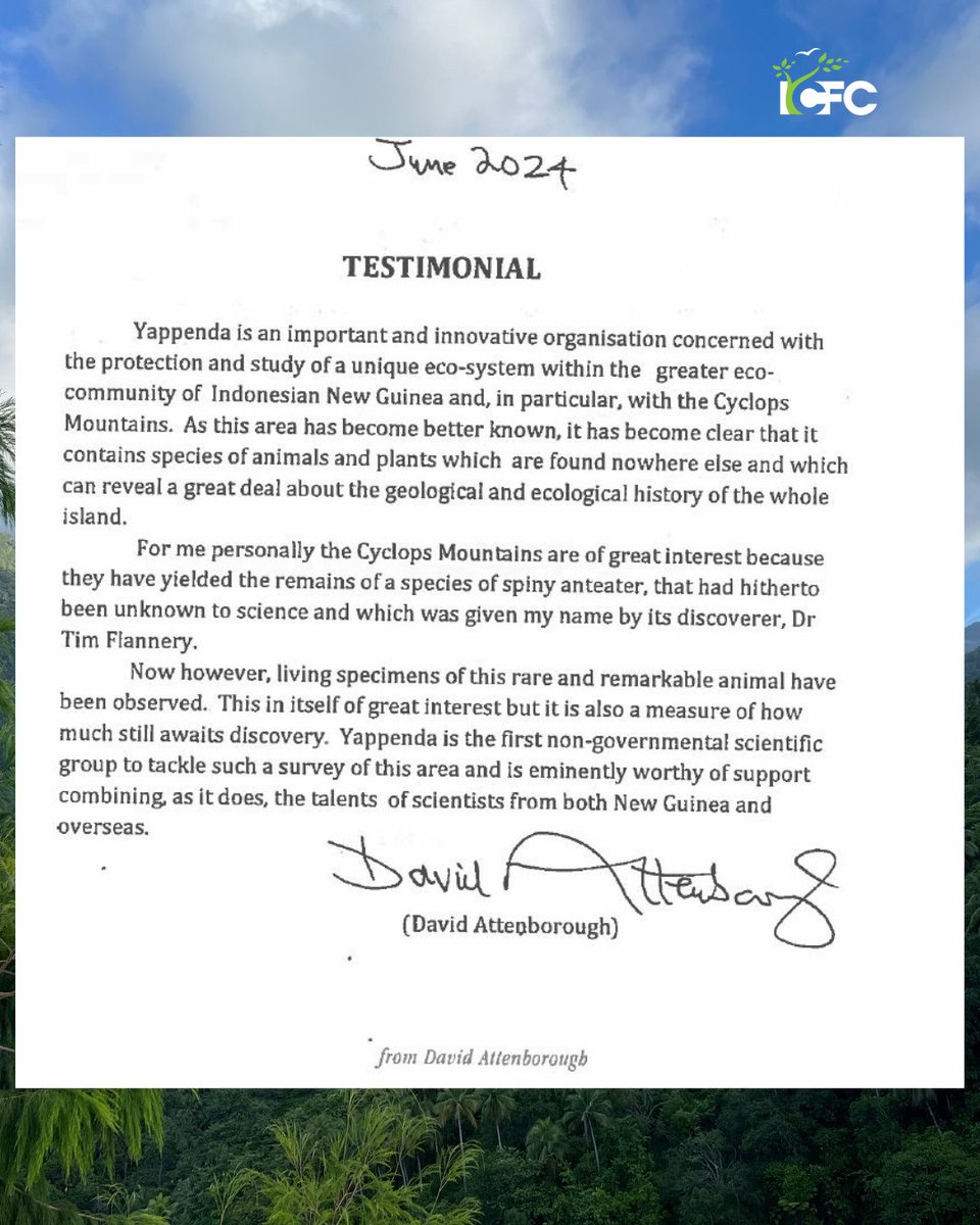 ICFC (@icfc_for_nature) on Twitter photo THRILLED to announce that none other than Sir David Attenborough himself applauding one of our keystone field partners <a href="/yappenda/">GalanG PanJi SatRio</a>.
The Cyclops mountains are an invaluable place and host many endemic species which cannot be found anywhere else on the planet. #ForNature THRILLED to announce that none other than Sir David Attenborough himself applauding one of our keystone field partners <a href="/yappenda/">GalanG PanJi SatRio</a>.
The Cyclops mountains are an invaluable place and host many endemic species which cannot be found anywhere else on the planet. #ForNature