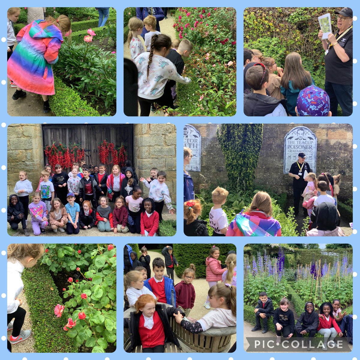 Donna Doyle (@missdoyle_falla) on Twitter photo We have had a fabulous day today at Alnwick Gardens finding out about plants as part of our science topic. We were amazed by the different variations of roses and shocked by the number of poisonous ☠️ plants! <a href="/FallaParkSchool/">Falla Park Community Primary School</a> <a href="/Miss_Carr_Falla/">Miss Carr</a> <a href="/Mrs_Crellin/">Mrs Crellin Falla</a> We have had a fabulous day today at Alnwick Gardens finding out about plants as part of our science topic. We were amazed by the different variations of roses and shocked by the number of poisonous ☠️ plants! <a href="/FallaParkSchool/">Falla Park Community Primary School</a> <a href="/Miss_Carr_Falla/">Miss Carr</a> <a href="/Mrs_Crellin/">Mrs Crellin Falla</a>