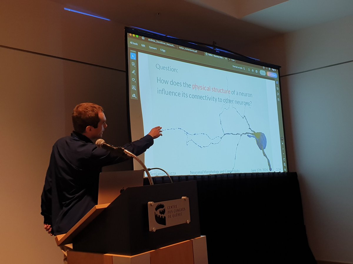 ivanbonamassa's tweet photo. Lost in the zoo of connectomes? @BenPiazza is guiding us through a journey across species, showing the common aspects emerging from them. Join us today #physnet24 @NetSciConf ! https://t.co/pVRnL1961b