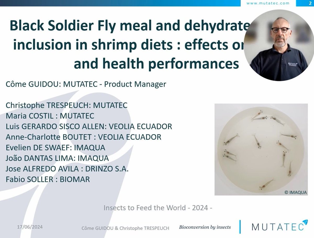 mutatec_insects's tweet photo. At @IFW2024 in @Singapour, @mutatec_insects  honored to give 5 lectures, presenting achievements and trials results. @ctrespeuch talks about #shrimps trials in #Europe and #Ecuador, highlighting benefits to shrimp growth and health protection #insects #Bioconversion @Veolia_Ec https://t.co/2QoocadUOa