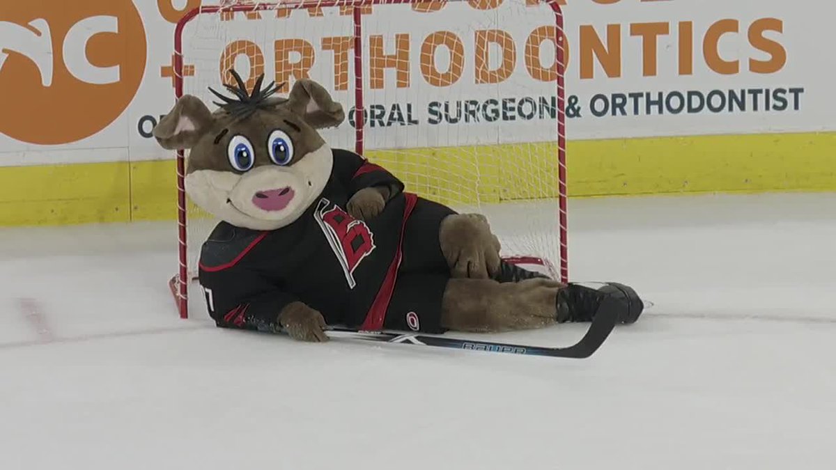 Never change, @NHLStormy 

Happy National Mascot Day 🐽