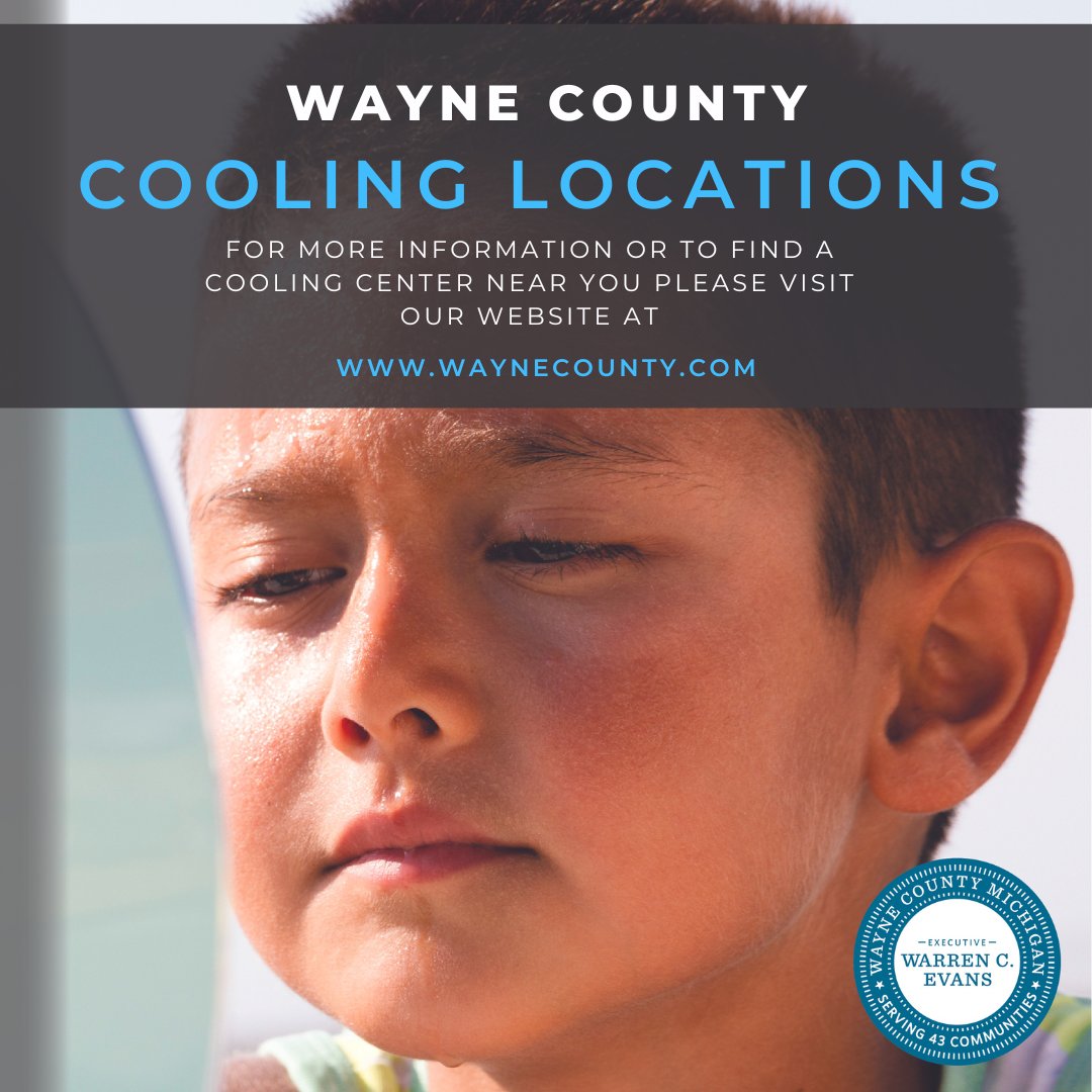 Wayne County, MI tweet media