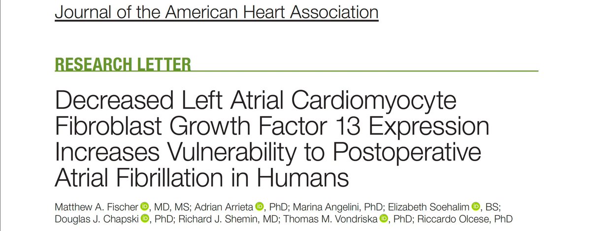 Excited to share our publication in @jaha_aha which identifies that decreased left atrial cardiomyocyte FGF13 expression promotes postoperative #afib:

ahajournals.org/doi/pdf/10.116…

Thank you to my co-investigators,  <a href="/FAERanesthesia/">FAER</a> and @UCLAanes for their support of this work!