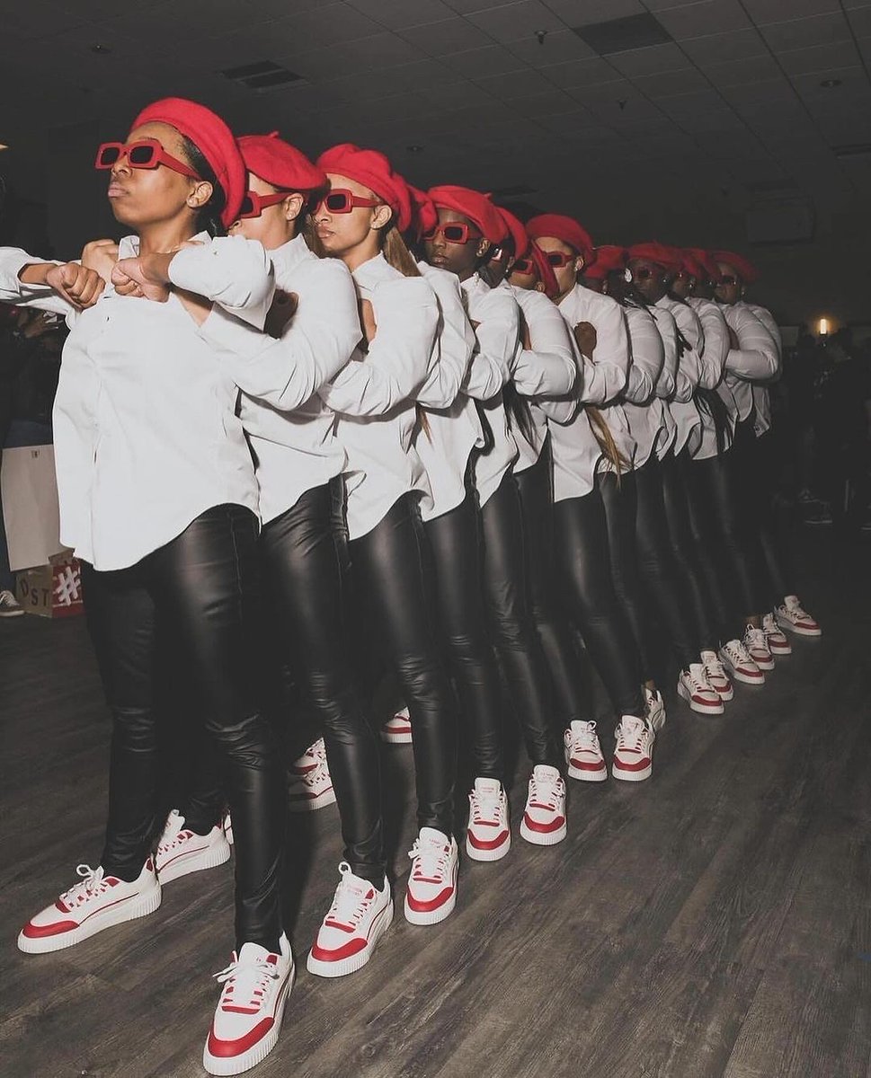 HBCUBuzz's tweet image. Yass Ma’am DST ❤️ stay coming with the heat 🔥 

#HBCUBUZZ #DST #DeltaSigmaTheta #Dst1913 #CoppinStateUniversity