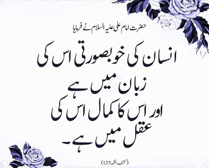 علی کے شیعہ tweet media