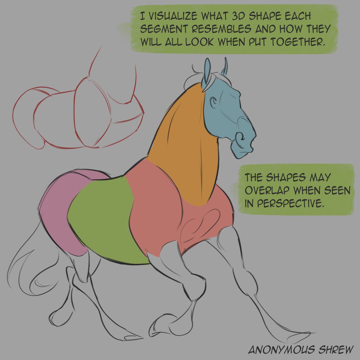 anonymousshreww's tweet image. Some tips for simplifying a horse's body! Feel free to leave any questions you have in the comments 🙂