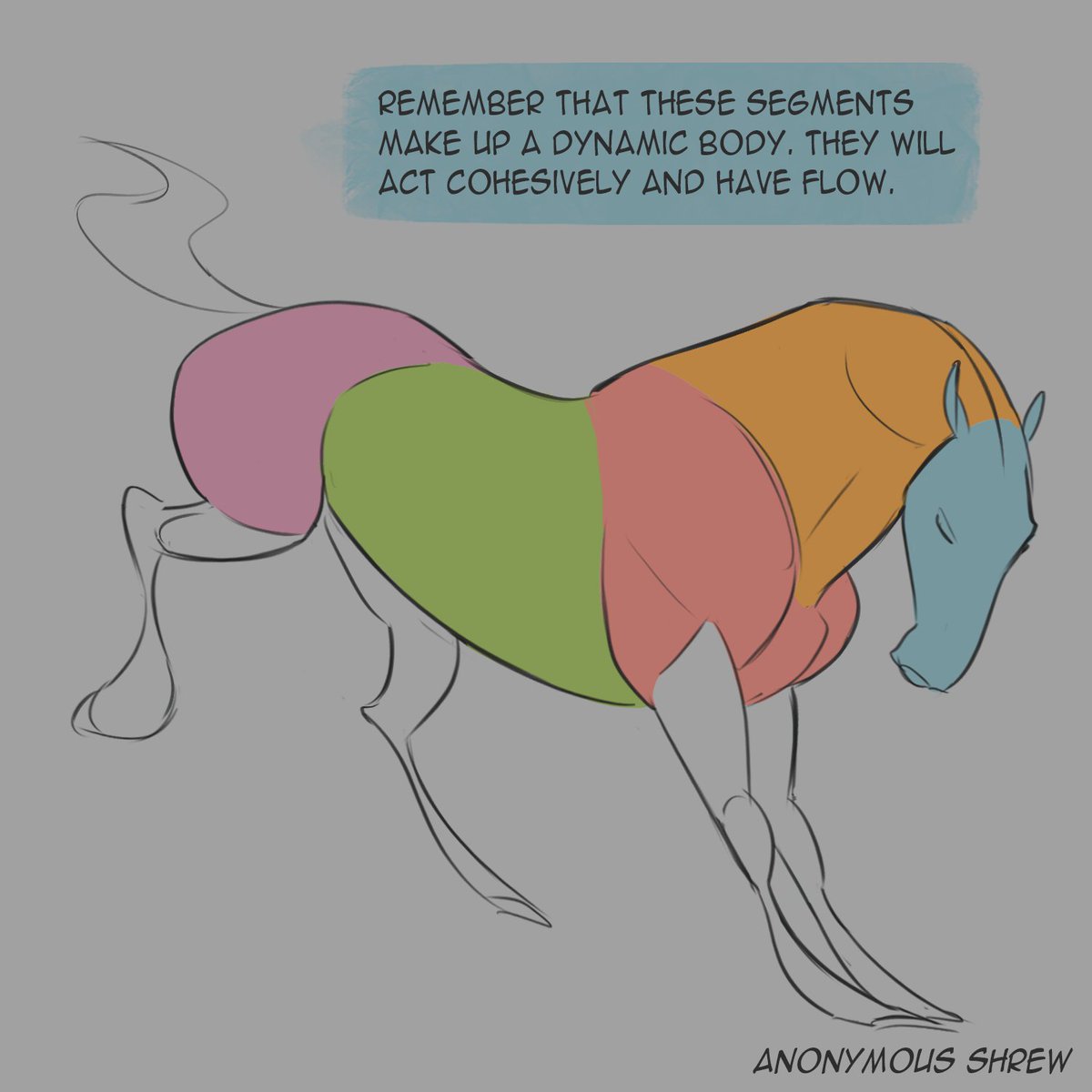 anonymousshreww's tweet image. Some tips for simplifying a horse's body! Feel free to leave any questions you have in the comments 🙂