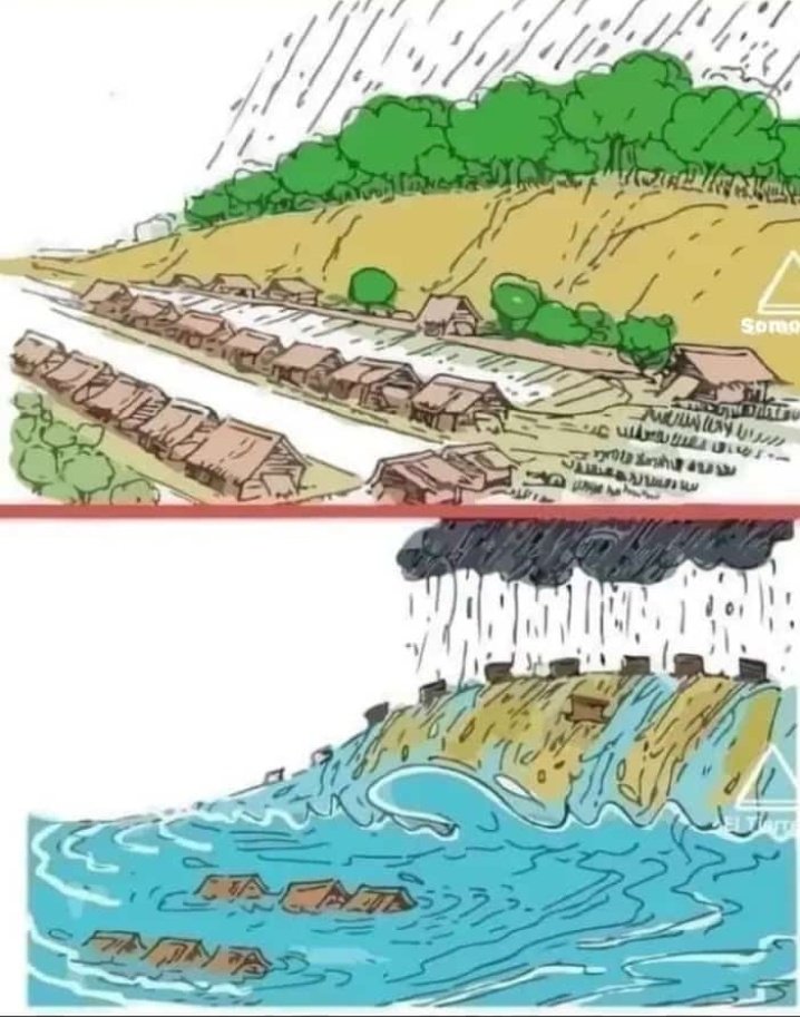 #DeforestacionAceleraDesertificacion Las Lluvias en estos días después de tanto Ecocidios arrastran sedimentos que en lugar de ser solución para la siembra traen serios desastres ecologicos. El Ecosistema #Lara pide Auxilio #CafeSinSombraEsEcocidio #NoMasCarbonEnLara