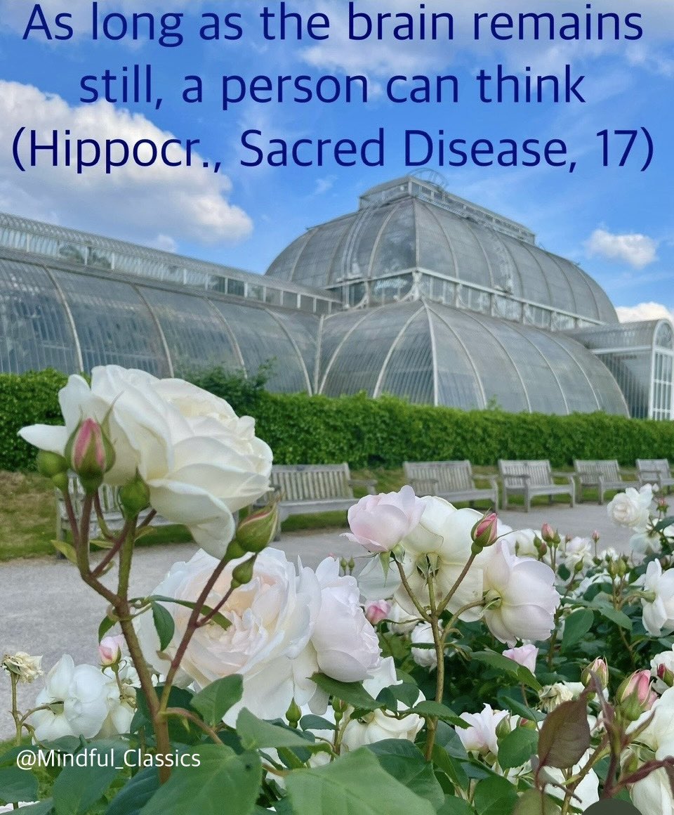 Mindful Classics tweet media