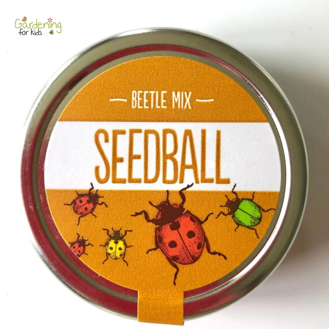 This exclusive Beetle Mix contains native wildflower seeds designed to attract ladybirds and pollinating beetles. 

🔗 gardeningforkids.co.uk/collections/se…