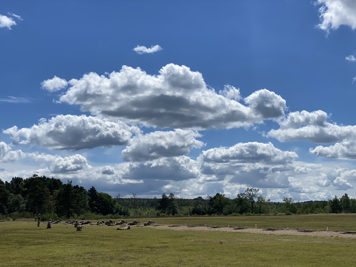 After 3 stages of the competition for the King’s Medal for Champion Shot of the Air Forces:

1. FS Guard  - 882 🔥
2. Sgt Mitchell  - 876 🏅
3. Cpl Webb - 864 🏅
4. Chf Tech Coates - 802🏃🏽
5. Cpl Nesbitt - 774 🏃🏽

Tomorrow the competition continues with a match 48. 
<a href="/HarvSmyth/">Air Chief Marshal Harv Smyth, CAS RAF</a>