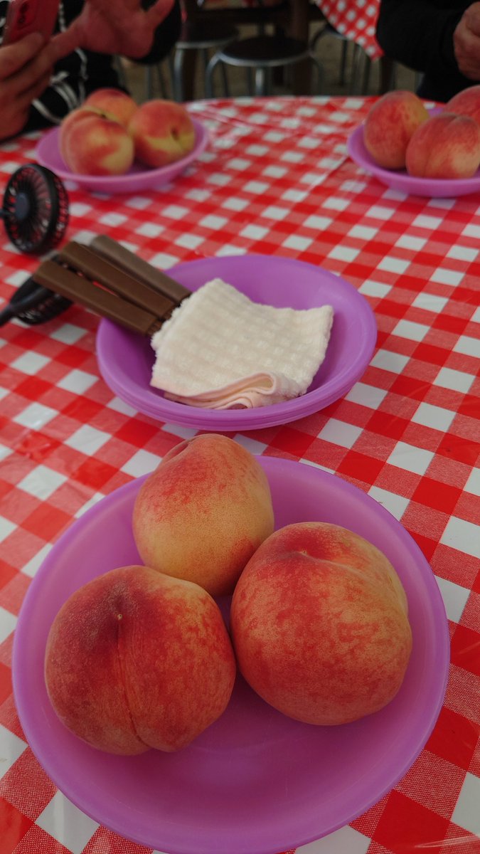 Uribo_kuma's tweet photo. 山梨県に桃狩りツーリング🍑

1200円で時間無制限、食べ放題は価格設定バグってます😅

久し振りにバイク乗ったら尻痛くなった😇 https://t.co/JHmHhk26U6