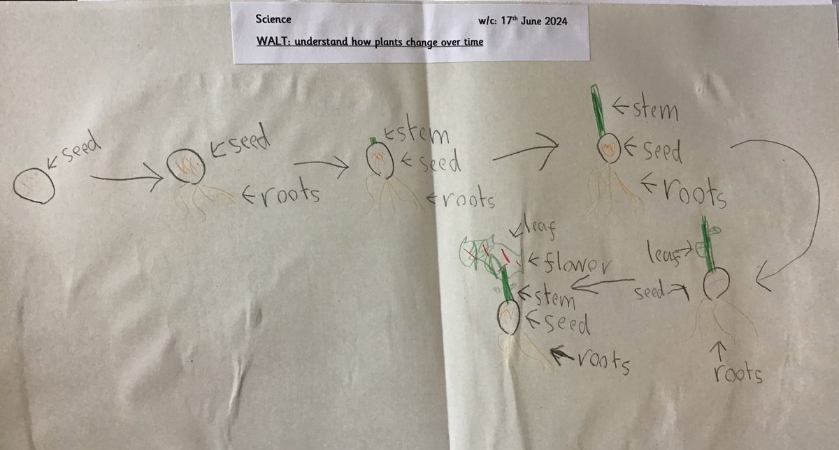 1YorkeMead's tweet photo. We are learning to understand how plants change over time #YorkeScience https://t.co/kmdOJsKIeu