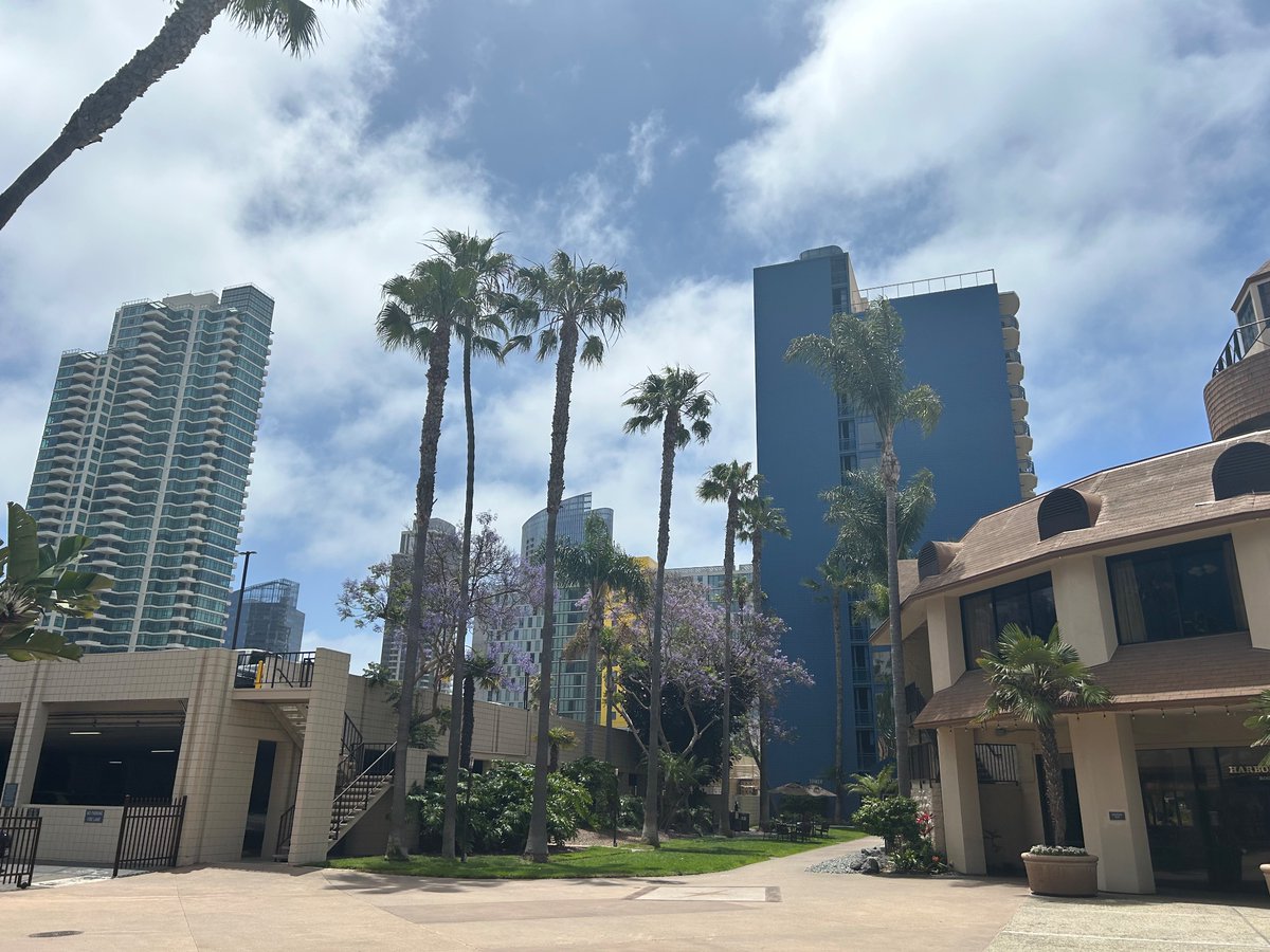 Second day <a href="/ASHEcon/">@ashecon</a> #SanDiego beautiful city