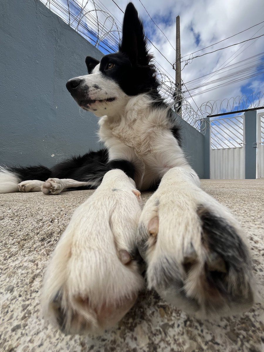 T A T A 🦋 (@taianelk) on Twitter photo 