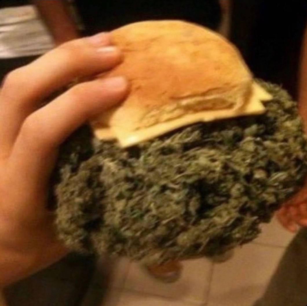 WeedPorns's tweet photo. This vegan shit is easy https://t.co/0oDRsT5MWX
