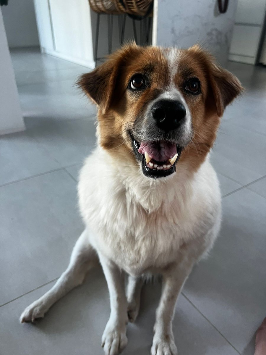 Niall Harbison tweet media