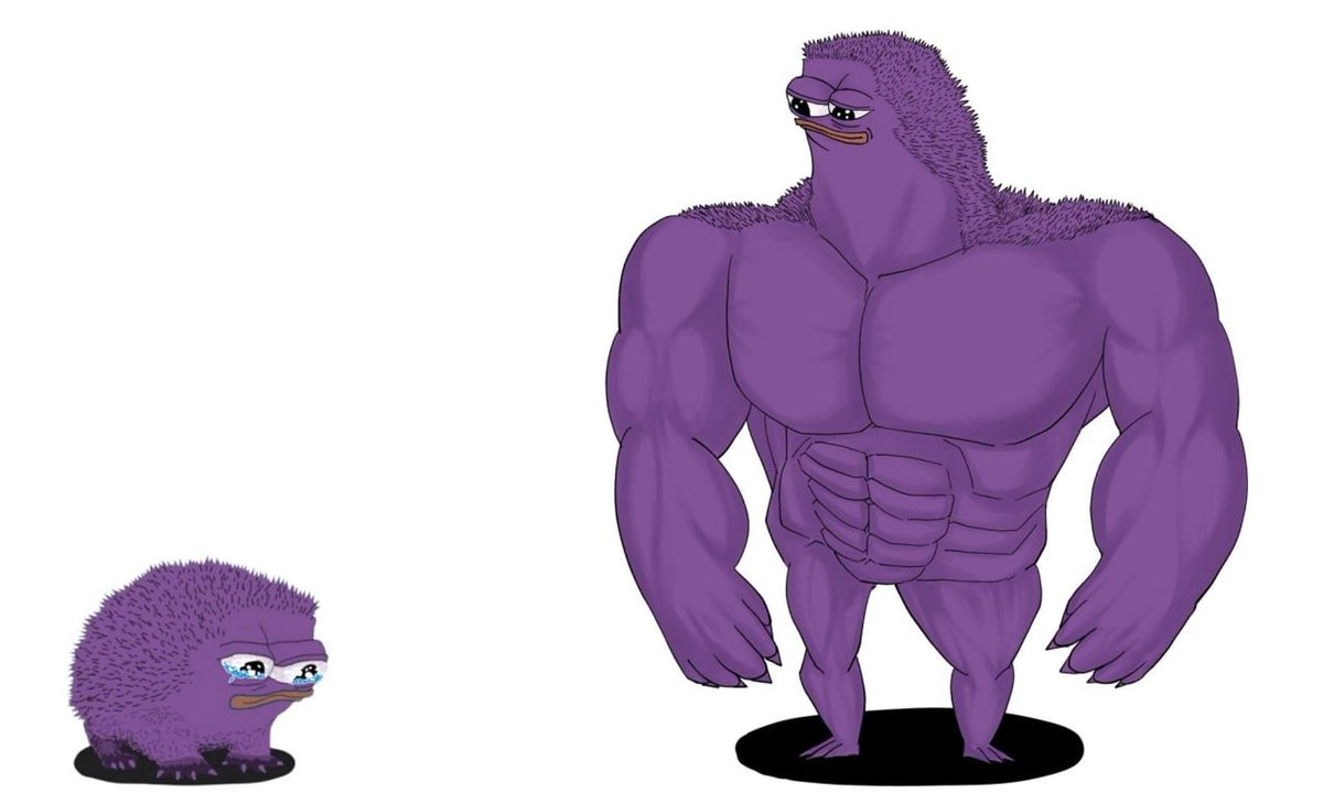 monad's tweet photo. You vs. the Molandak she tells you not to worry about https://t.co/4OhWHt6ZtT