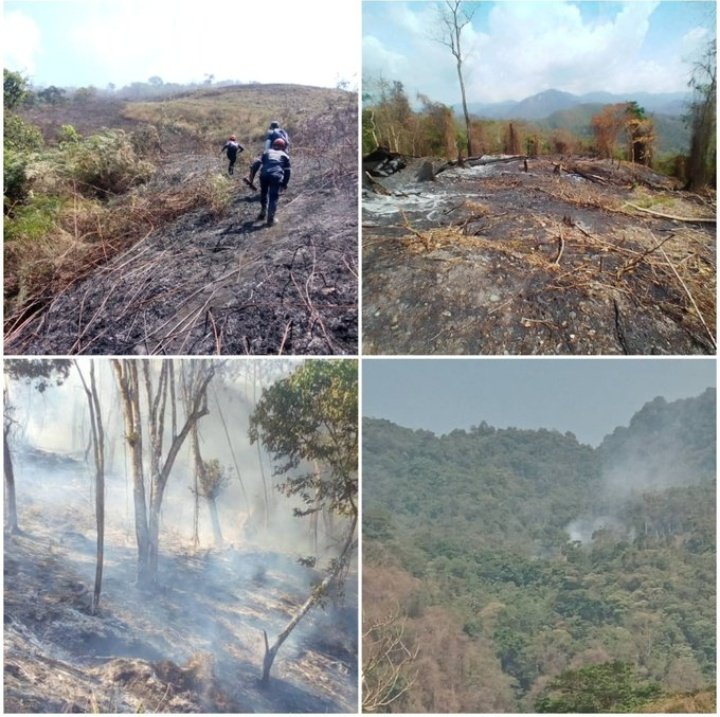 #DeforestacionAceleraDesertificacion Tal es el caso del Ecosistema Larense, ante la mirada complice de los que negocian lo que el Planeta nos regala. Desalojo del PN Yacambú, No Más Invasores. #NoMasCarbonEnLara Semia Árido Larense a punto de #Desertificacion