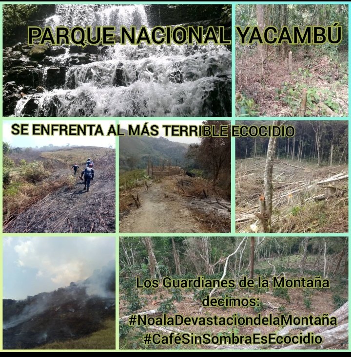 #DeforestacionAceleraDesertifircacion Los PN Serro Saroche Y Yacambu deben ser desalojados de los ecocidas, Así mismo Valle del Río Barquisimeto. El Extractivismo Criminal puede seguir impune <a href="/TarekWiliamSaab/">Tarek William Saab</a> <a href="/ViceVenezuela/">Vicepresidencia Vzla</a> <a href="/VillegasPoljak/">Ernesto Villegas Poljak</a> <a href="/MariaesPueblo/">María Alejandra Díaz Marín🐞🦗🦎🐝🐜</a>