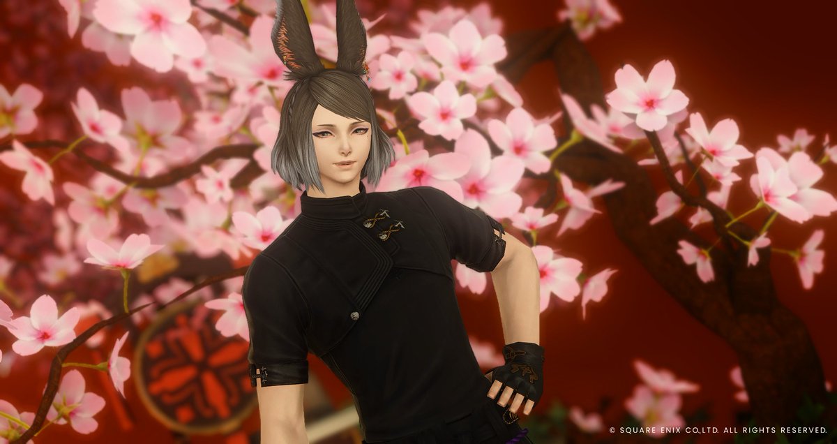 Seli_14ff's tweet photo. たまには #おはうさ 🐰
駆け込みですこし解放周りしてから撮影に来てみた。
素敵なところだったのでまたいきたいな。

📸 #studio_EF

#3顔うさお同盟 #ヴィエラオス #うさお https://t.co/Z6NLehtAaY
